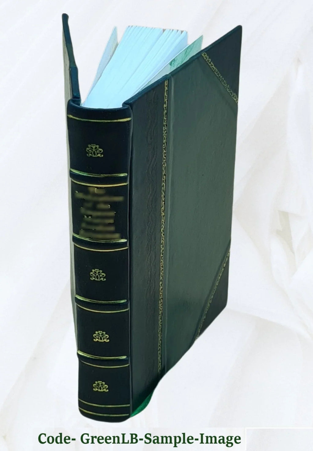 The Coast guard; its history, activities, and organization, by Darrell Hevenor Smith and Fred Wilbur Powell. Volume no. 51 1929 [Leather Bound]