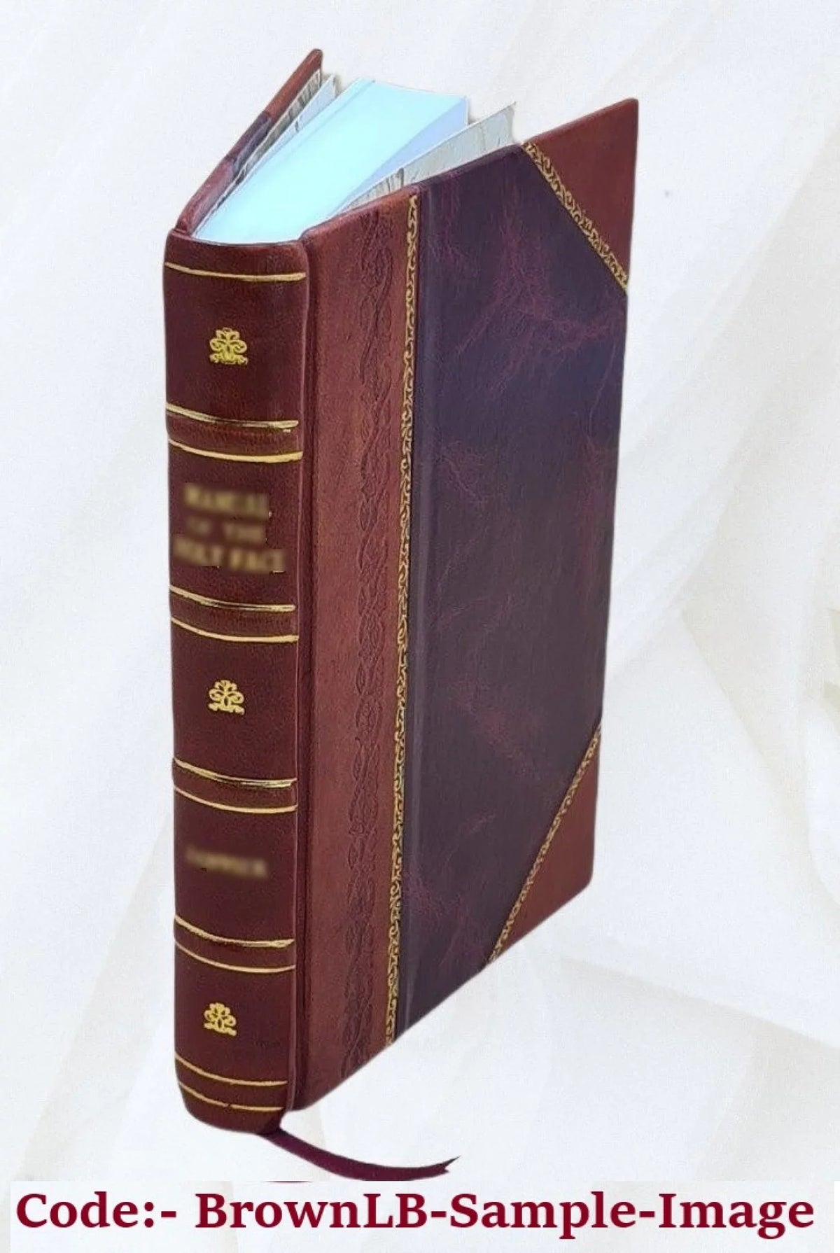 The Coast guard; its history, activities, and organization, by Darrell Hevenor Smith and Fred Wilbur Powell. Volume no. 51 1929 [Leather Bound]