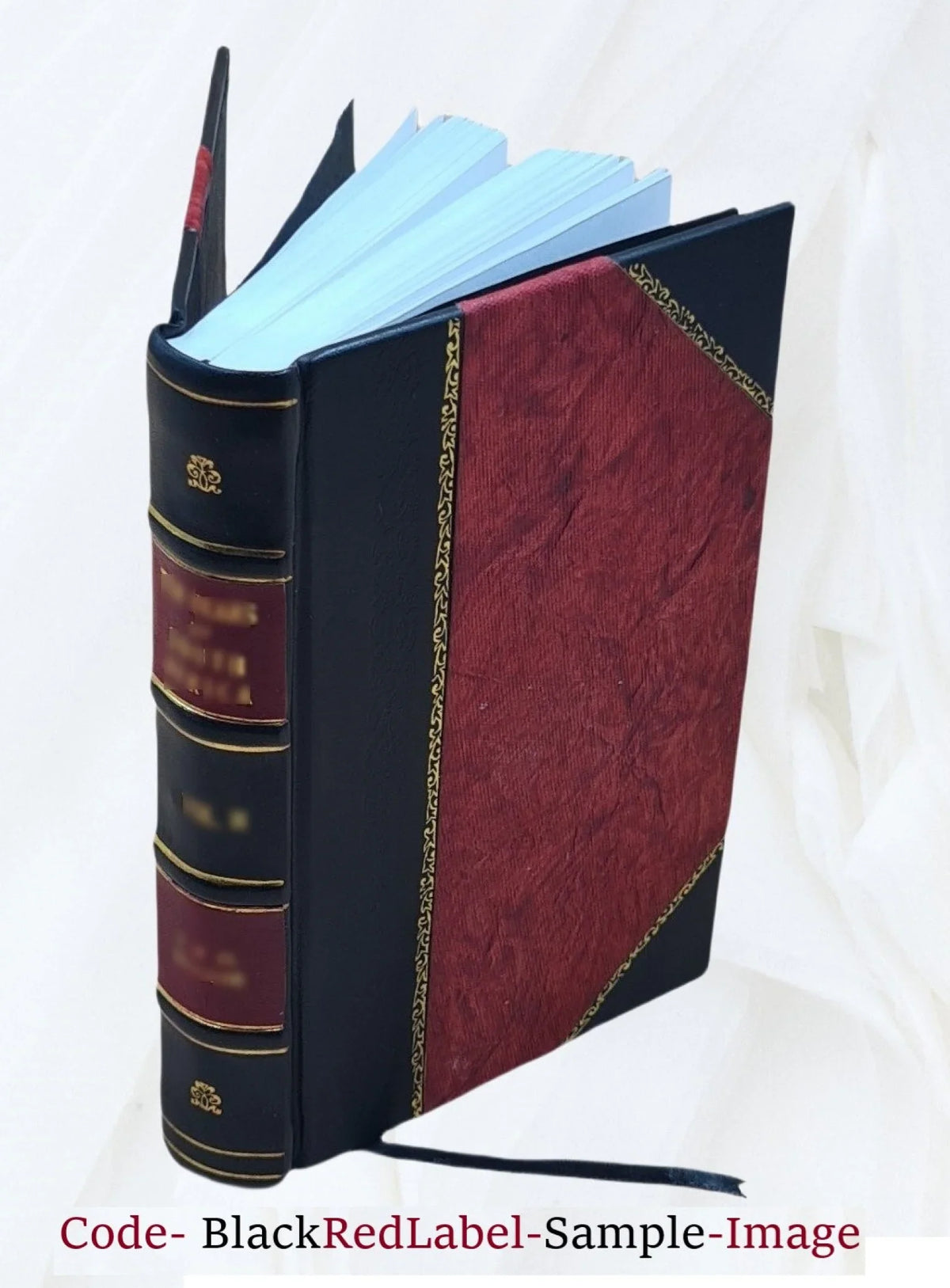 The Coast guard; its history, activities, and organization, by Darrell Hevenor Smith and Fred Wilbur Powell. Volume no. 51 1929 [Leather Bound]
